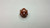 D20 (brown)