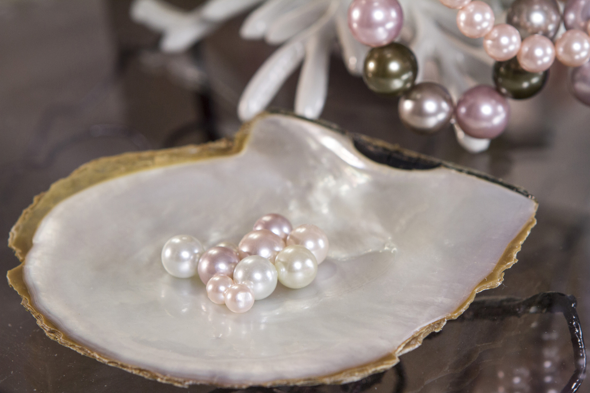 The Wish Pearl | Authentic Pearl in Oyster Gift Sets | B2B