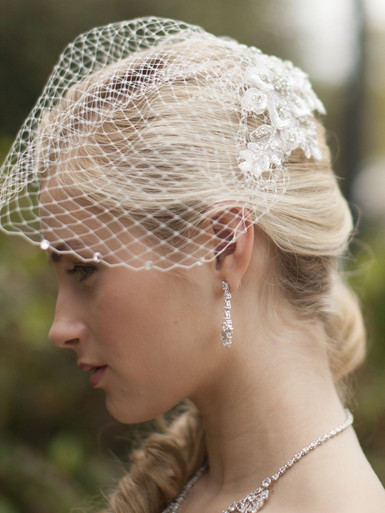 Wedding Birdcage Bridal Veil w/ Champagne Lace Appliques