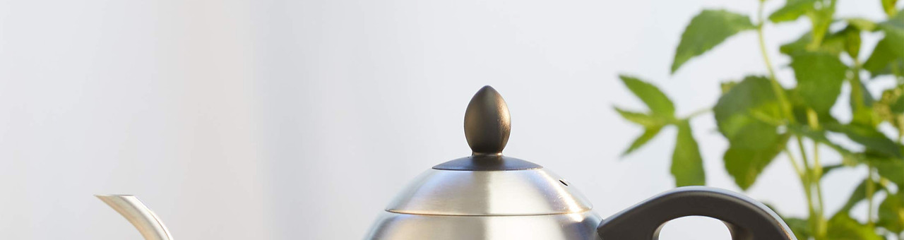 Electric Kettle