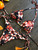 Women's Multicolor Push up Sexy Bikini Set - size Large