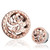 2pc Anodized Thread Ear Tunnel and Plugs Vintage Hollow Ear Piercing (8mm)