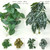 Artificial Peacock Turtle Back Leaf Vine Wall Hanging-1731540725