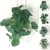 Artificial Peacock Turtle Back Leaf Vine Wall Hanging-1731540725