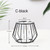 Nordic Iron Hydroponic Glass Plant Vase