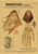 Kraft Paper Wall Poster – Aesthetic Vintage Art Print Decor
