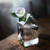 Mini House Glass Vase – Aesthetic Home Decor Planter