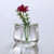 Cute Cat Flower Vase – Decorative Glass Plant Holder