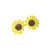 Sunflower Shape Sunglasses – Daisy Party Glasses Props