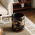 Stainless Steel Retro Trash Can – Modern Wastebasket for Bedroom & Kitchen