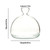 Elegant Transparent Seed Starter Vessel