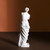 Premium Resin Venus Statue for Modern Living Room Decor