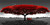 Prints Modern Wall Art Picture