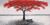 Prints Modern Wall Art Picture