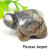 Natural Tortoise Hand Carved Healing Crystal Quartz Home Decor