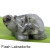 Natural Tortoise Hand Carved Healing Crystal Quartz Home Decor