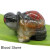 Natural Tortoise Hand Carved Healing Crystal Quartz Home Decor