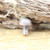 Natural Quartz Gems Mushroom Pendant Gold Chain Necklace