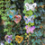 Butterfly Reflective Wind Chime