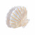 Hair Claw Styling Clip