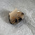 Hair Claw Styling Clip