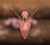 Natural Temperament Chakra Perfume Diffuser Bottle Necklace