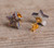 Rainbow Natural Druzy Geode Agates Chip Beads Stud Earrings