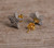 Rainbow Natural Druzy Geode Agates Chip Beads Stud Earrings