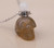 Carved Skull Head Perfume Bottle Crystal Gemstone Necklace