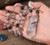 Natural Black Rutilated Quartz Beads Cord Knotted Necklace