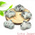  Heart Shape Gemstone - Ishka