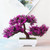 Bonsai Tree Table Decorative Potted Artificial Plastic Plant