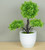 Green Bonsai Small Artificial Potted Green Plant