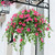 Wall Hanging Fake Vines