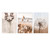 Nordic Sunset Reeds Grass Bird Flower Art Canvas Wall Art (30x40cm)