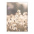 Nordic Sunset Reeds Grass Bird Flower Art Canvas Wall Art (30x40cm)