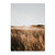 Nordic Sunset Reeds Grass Bird Flower Art Canvas Wall Art (30x40cm)