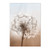 Nordic Sunset Reeds Grass Bird Flower Art Canvas Wall Art (30x40cm)