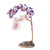 Lucky Tree Specimen Amethyst Rose Quartz Reiki Healing Home Decor