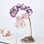 Lucky Tree Specimen Amethyst Rose Quartz Reiki Healing Home Decor