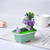 Potted Mineral Lawn Pavilion