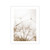 Nordic Flower Abstract Line Figure Grass Canvas Art Painting