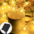 LED Peach Flower Solar Lights
