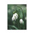 Green Aloe Monstera Plant Canvas Wall Art Decorative Painting