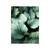 Green Aloe Monstera Plant Canvas Wall Art Decorative Painting
