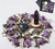 Natural Mineral Mark Healing Therapy Crystal Gemstone Collection