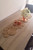 Natural Burlap Straw Rope Table Cloth/Runner 100x25cm