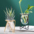 Nordic Flower Hydroponic Glass Plant Vase