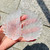 White Selenite Angel Wings Mineral Specimen Home Decor
