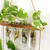 Mounted Double Layer Wall Hanging Flower Vase